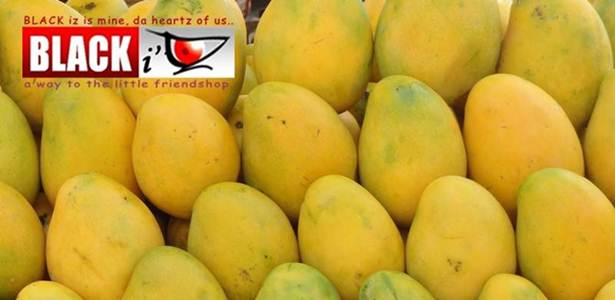 ব্ল্যাক আইজ ম্যাংগো ফেস্টঃ সুস্বাদু হিম সাগর আম (নাটোর রাজশাহী থেকে) বিবরণঃ আমের জাতঃ হিমসাগর। আকারঃ মাঝারি ,বড়। রঙঃ কাঁচা অবস্থায় সবুজ, পাকা অবস্থায় হলুদ। অবস্থাঃ কাঁচা পাকা অবস্থায় আছে, পাকতে ১ থেকে ২ দিন সময় নিবে। বৈশিষ্ট্যঃ স্বাদে গন্ধে অসাধারণ, পূর্ণ ভাবে পাকা আম অতি মিষ্টি এবং সুস্বাদু। বিশেষত্তঃ পরিপূর্ণ ভাবে যেকোনো প্রকার রাসায়নিক মুক্ত এবং নিজেদের বাগান হতে সংগৃহীত। দামঃ প্রতি ১০ কেজি ১৫০০ টাকা। (শুধু ঢাকার জন্য!) ** বিকাশ অথবা অথবা ব্যাঙ্ক অ্যাকাউন্টে প্রি-পেমেন্ট করে আপনার অর্ডার কনফার্ম করুন। ** বিস্তারিত জানতে ফন করুন নাম্বারঃ ০১৯১১৭৭২৩৯৮ ডেলিভারির পদ্ধতিঃ * ডেলিভারির সময়ঃ অর্ডার দেয়ার পর থেকে ১-২দিন এর মধ্যে (পরিস্থিতির কারণে পরিবর্তিত হতে পারে) * ৪০কেজির অর্ডার দেয়া হলে ফ্রী শিপিং! ০১৯-১১৭৭২৩৯৮, ০১৬-১১৭৭২৩৯৮